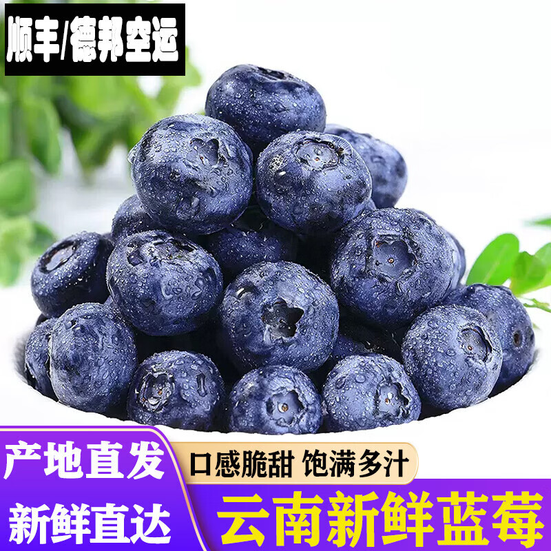 李小茉云南 现摘蓝莓 【顺丰/德邦空运】脆甜  125g/盒 新鲜水果 云南蓝莓 中果 12mm+ 4盒