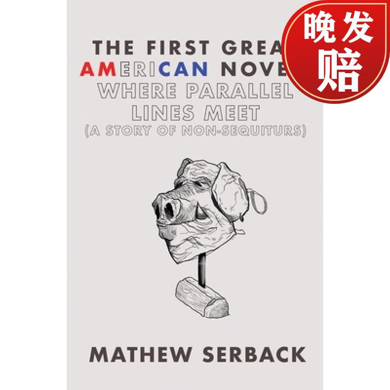 novel: where parallel lines meet (a story of non-sequiturs)