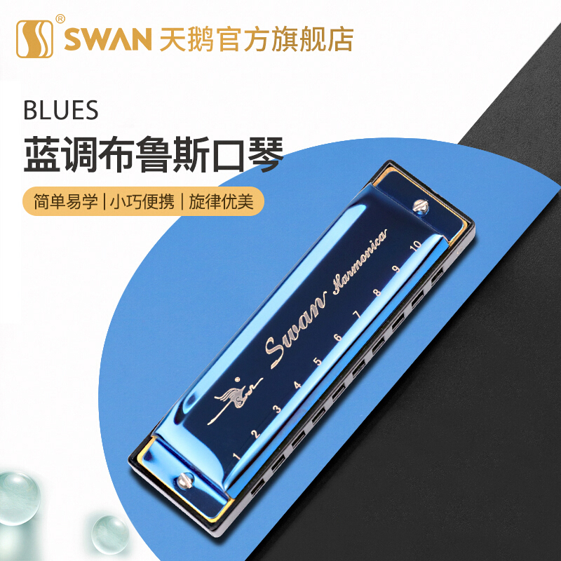 天鹅口琴十孔布鲁斯10孔20音蓝调c调儿童乐器 蓝色