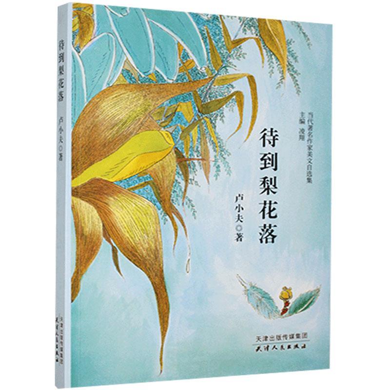 待到梨花落卢小夫天津人民出版社9787201168432/文学书籍