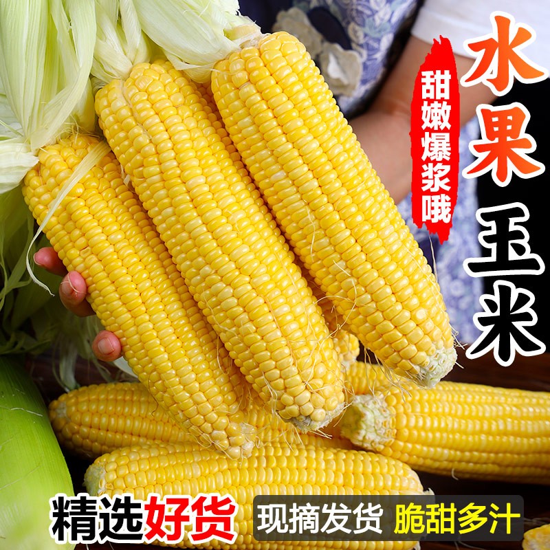 ���ڲ������ү �����ƽ�ˮ������2024������ժ  ˮ������5��