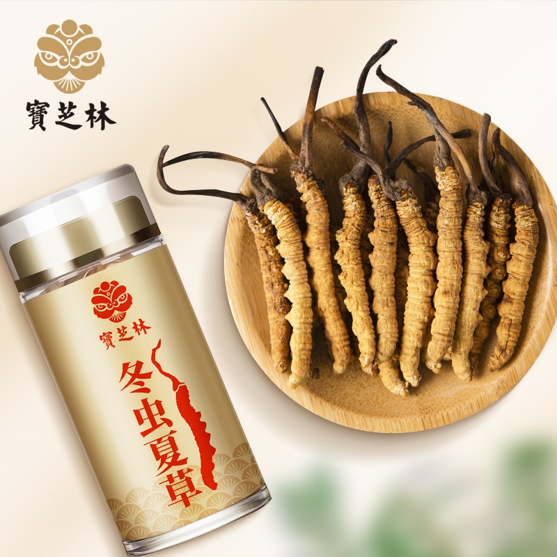 冬虫夏草价格走势看这里!