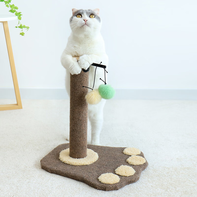 一起点评派乐特猫爪形猫爬架质量真的好不？了解一周真相分享