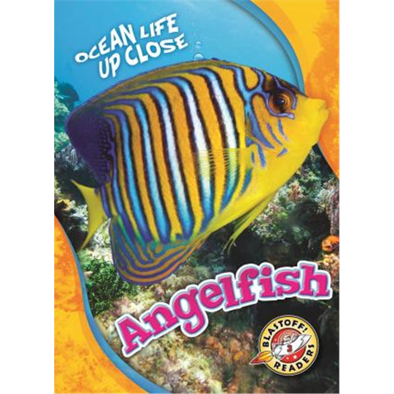 预订angelfish