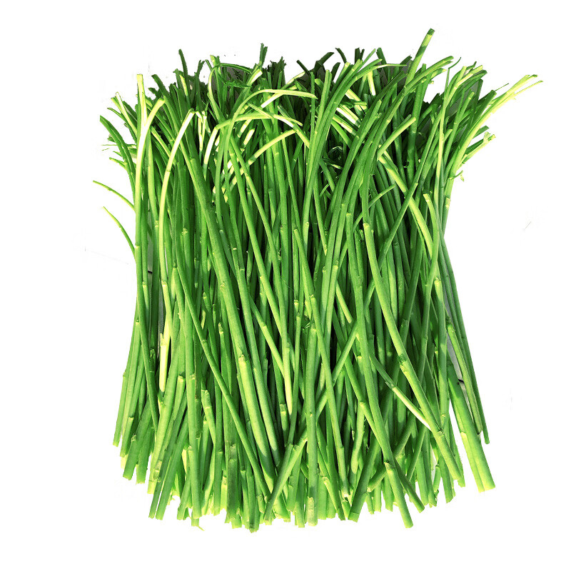 颜曼箐篱蒿去叶当季芦蒿新鲜黎蒿野生蔬菜野菜藜蒿鲜嫩泥蒿蓠蒿 1000g