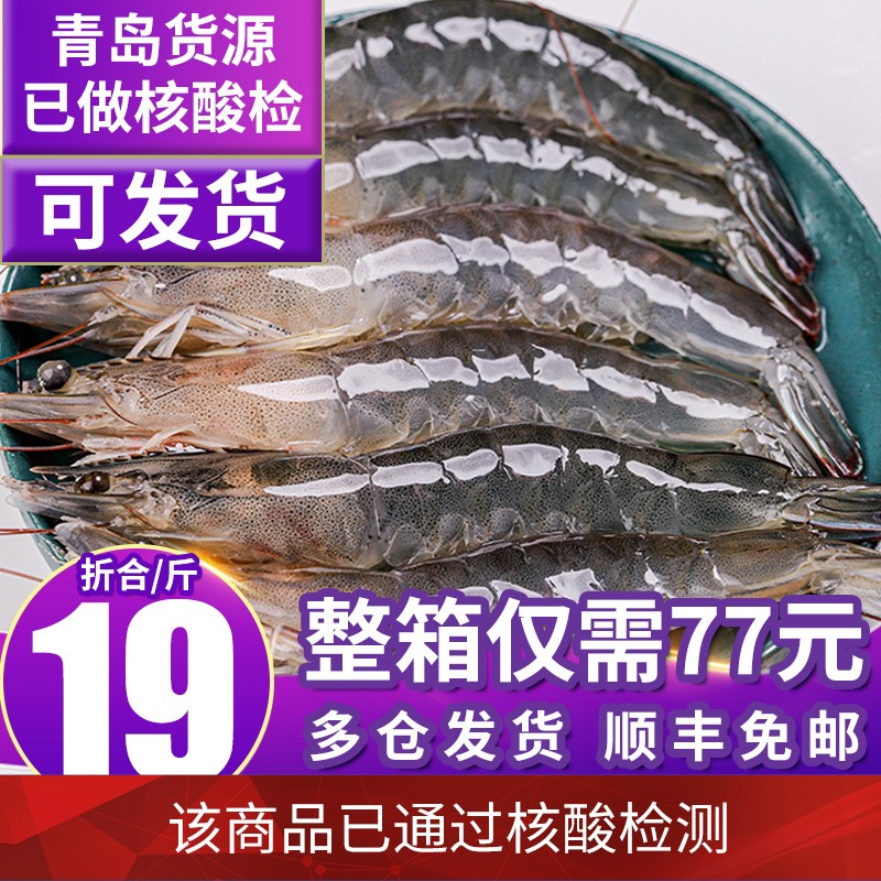 渔游记 国产青岛海捕大虾 生鲜虾类海鲜水产  毛重4斤 4斤/12-16cm（70-90只）