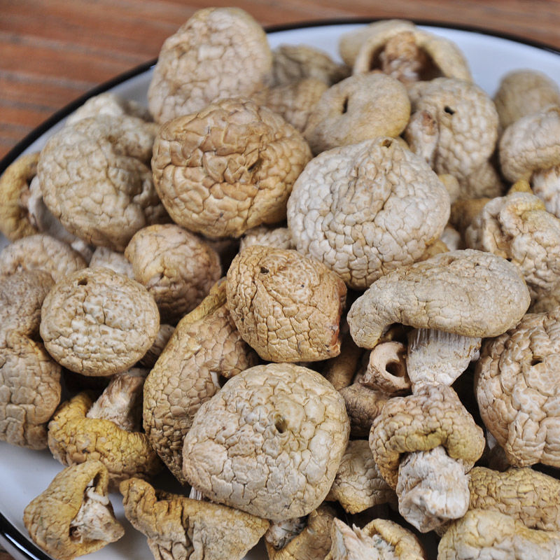 石渠白菌100克 秋冬滋补佳品孕妇煲汤四川甘孜州藏区高原特产