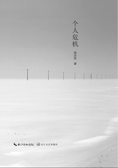 个人危机 袁志坚【正版】