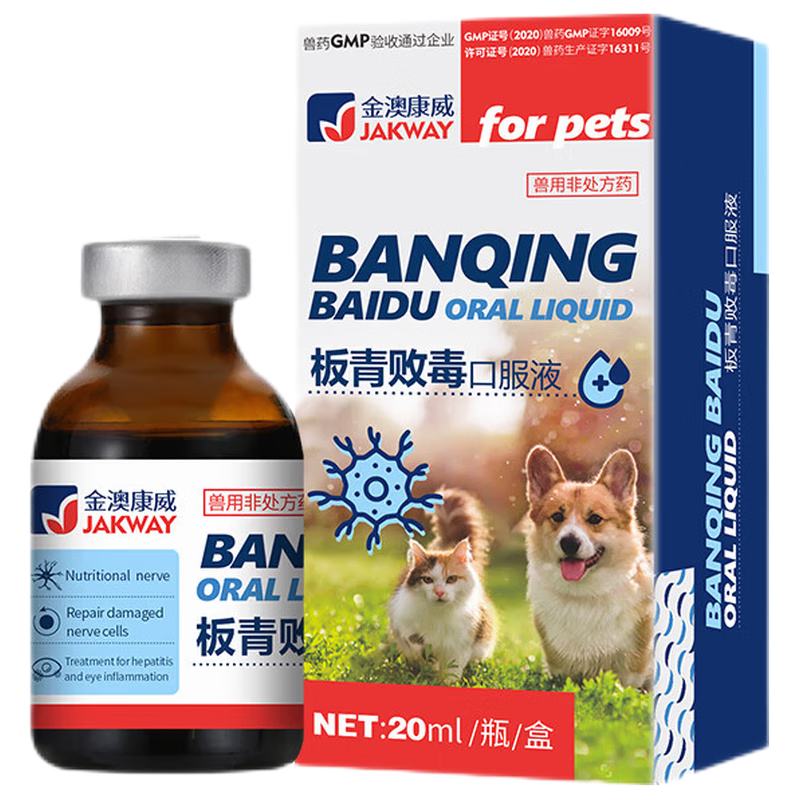 如何用2个月时间提高您的网站流量?!