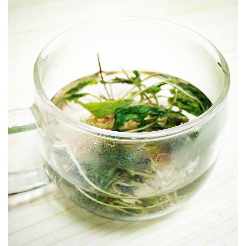 紫花地丁500克新鲜地丁草心叶堇菜犁头草茶500克1袋