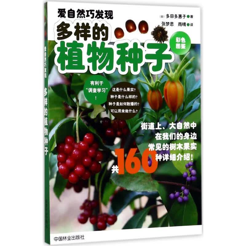 多样的植物种子