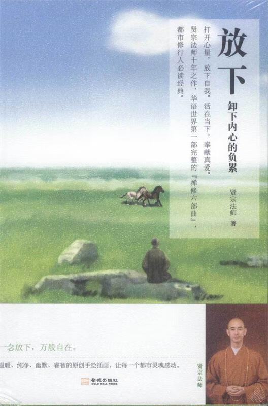 放下:卸下内心的负累【正版好书,下单速发】