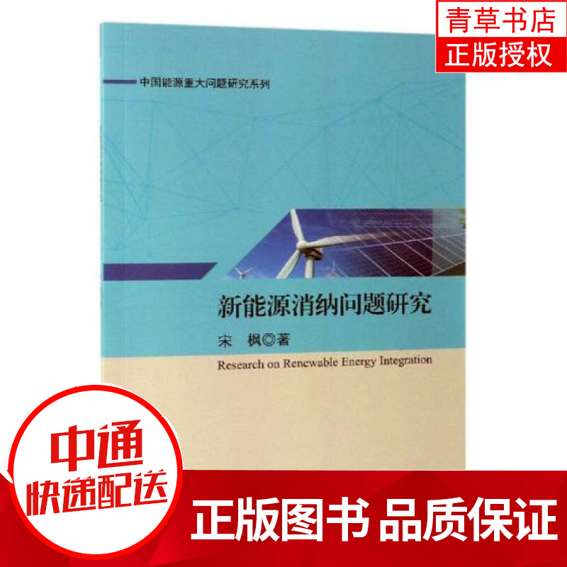新能源消纳问题研究 经济 书籍