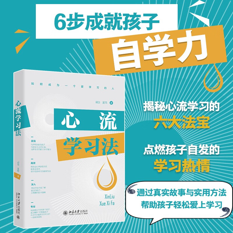 心流学习法 6步帮助你为孩子构造学习上的心流 培养孩子的自主学习能力 