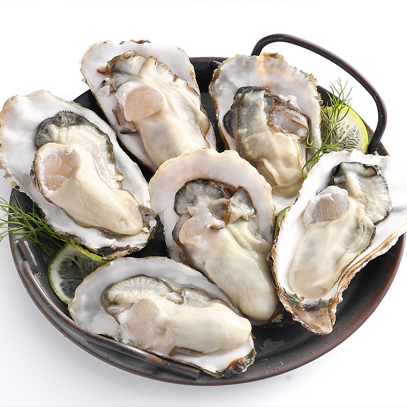 伯贤山东生蚝5斤大号牡蛎新鲜生蚝海蛎子 5斤