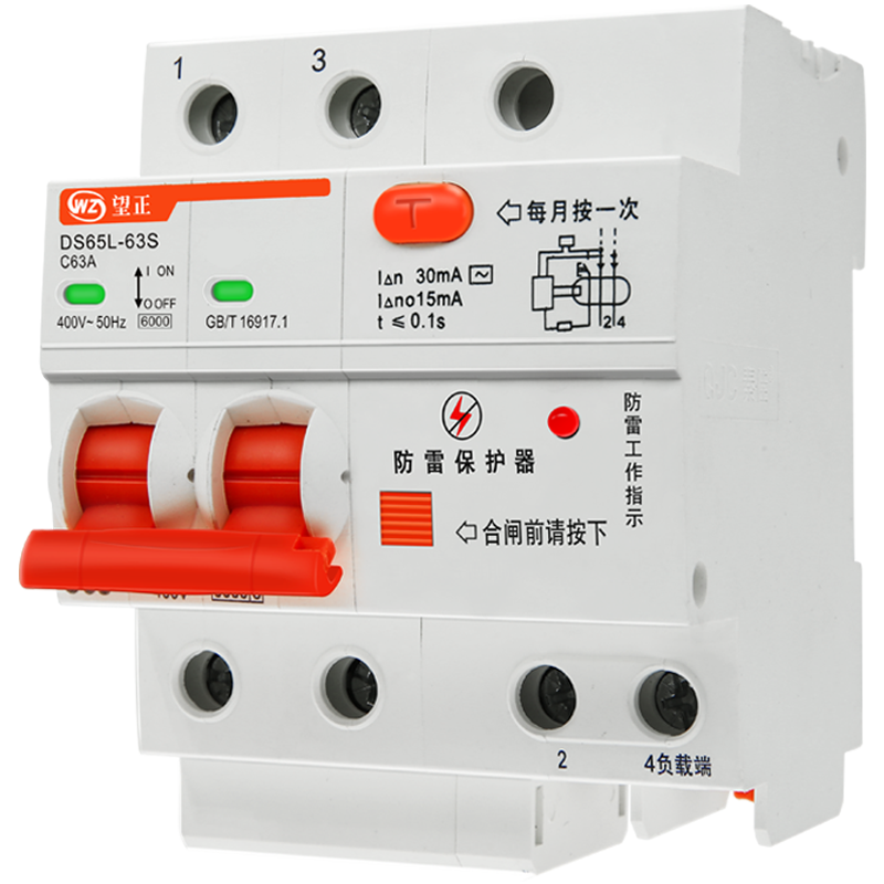 望正防雷漏電保護(hù)器2P漏電開(kāi)關(guān)大功率63A浪涌漏保斷路器防觸電斷路器 2P 63A