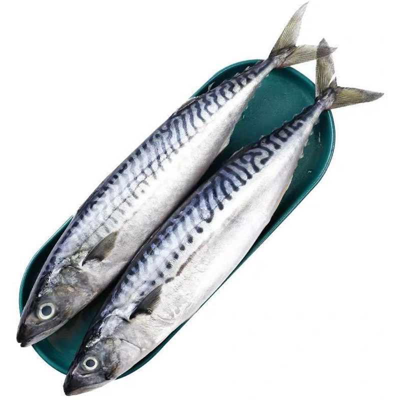 青花鱼 相关京东优惠商品 价格图片品牌优惠券 虎窝购