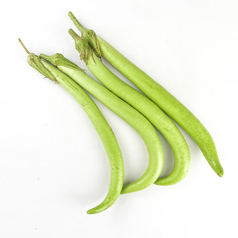 绿食者新鲜秋茄子500g长尖绿茄瓜农场蔬菜餐厅食材青茄子 全店满5件 1