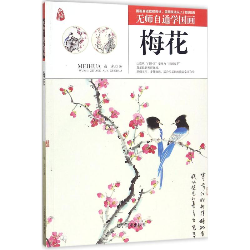 无师自通学国画梅花