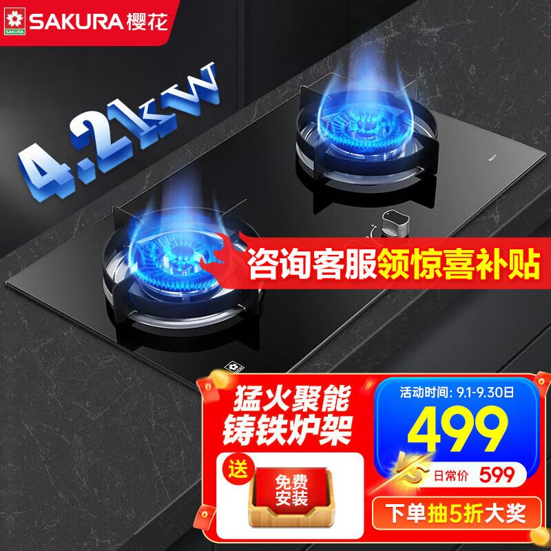 樱花(SAKURA)燃气灶天然气灶双灶液化气灶台式嵌入式两用灶具高效节能熄火保护猛火灶煤气灶台 BGC1T【天然气】4.2KW
