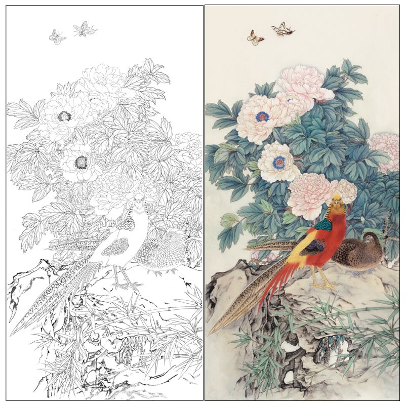 牡丹四尺原作大小66*132厘米花鸟线稿带步骤图及用色说明临摹画稿cj26