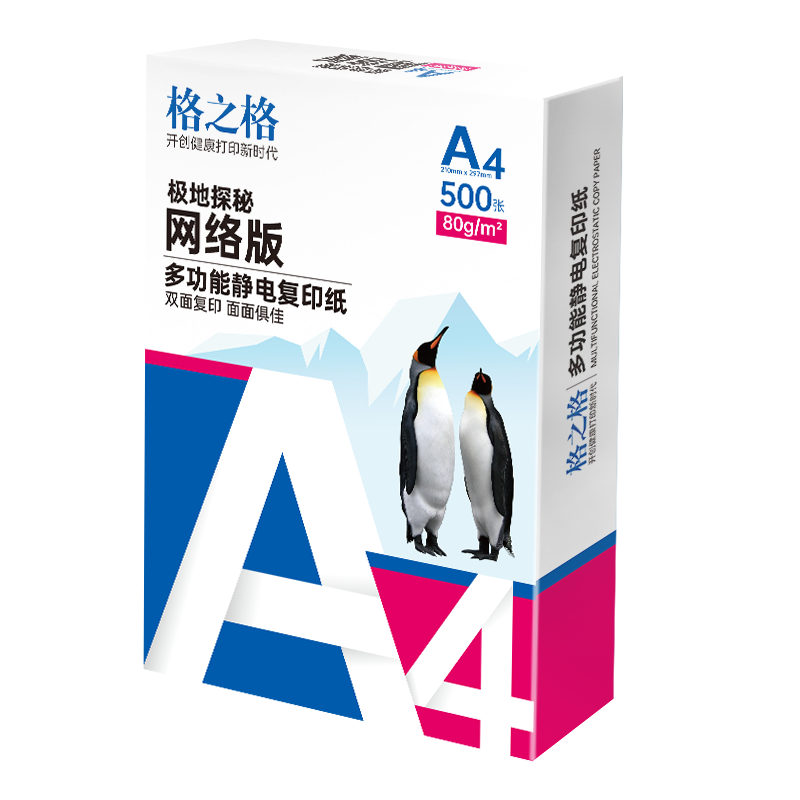 格之格 A4纸 80g A4打印纸双面复印纸高性价比畅销款  500张/包 5包1箱【考试考研考公复习】极地探秘