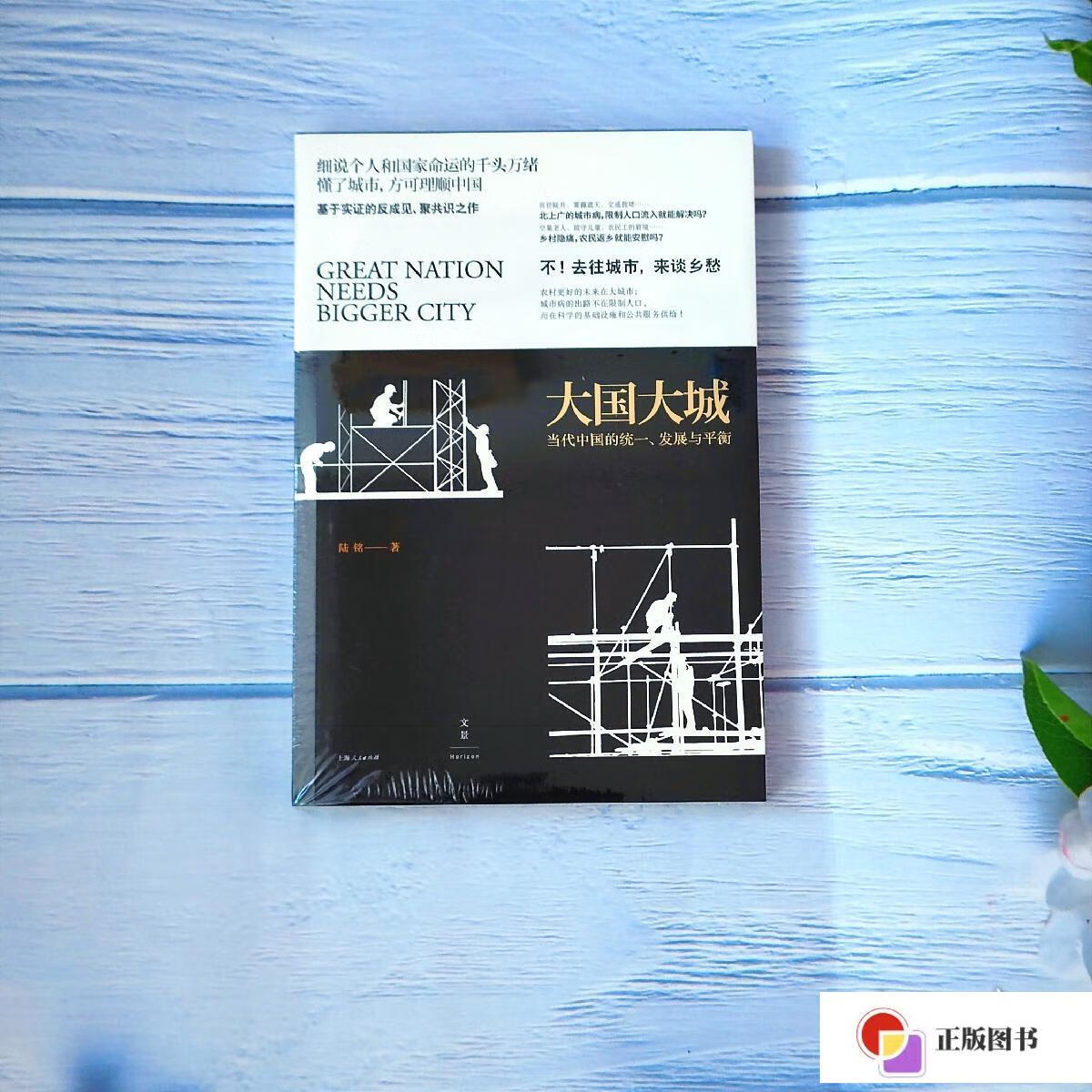 【二手9成新】大国大城:当代中国的统一,发展与平衡 陆铭 立足当下