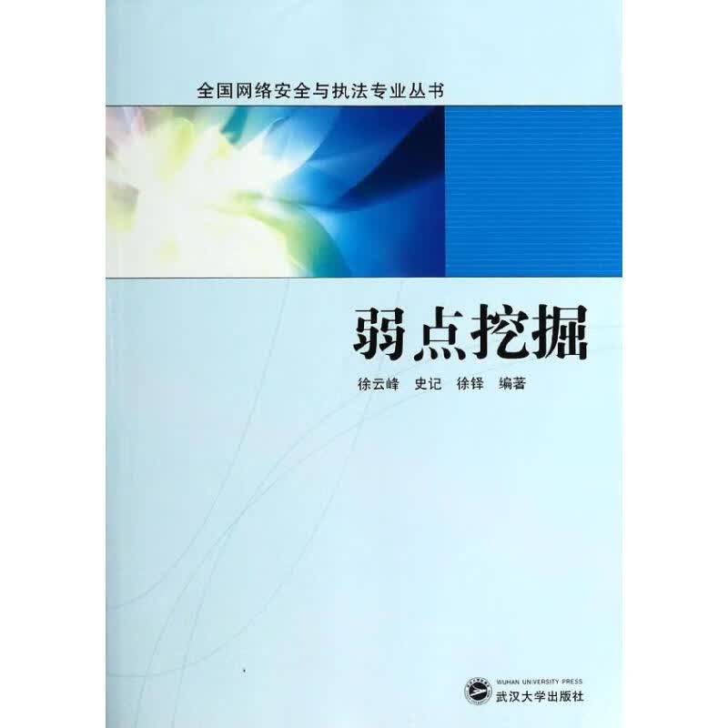弱点挖掘