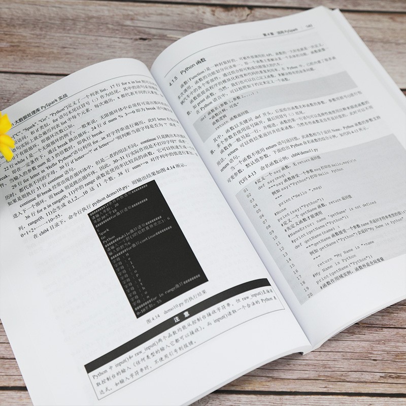 Python大数据处理库PySpark实战