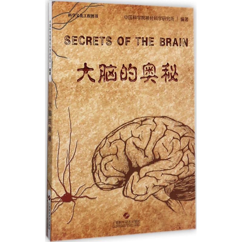 大脑的奥秘