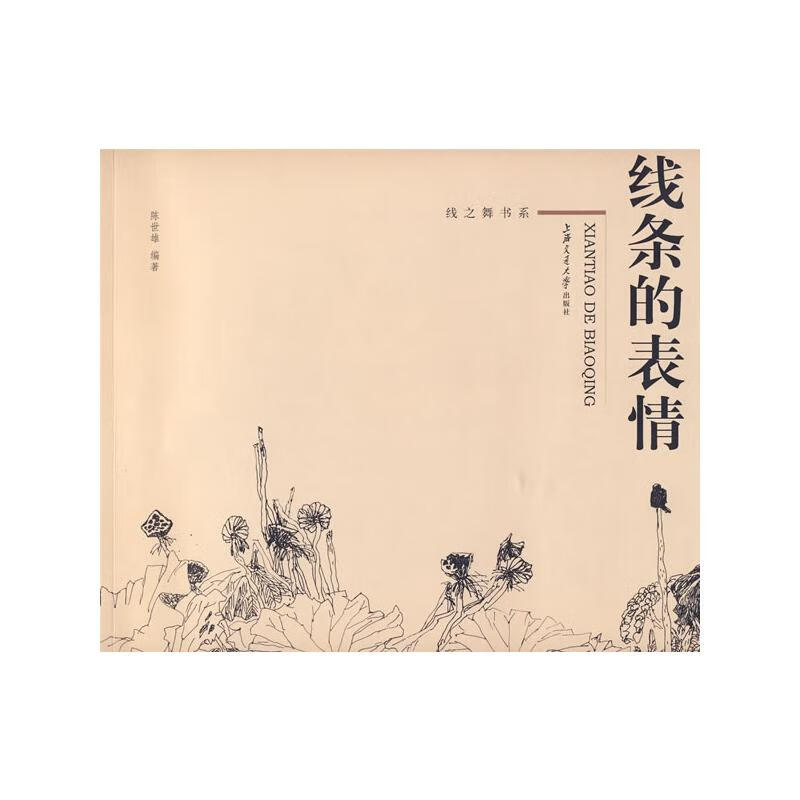 线条的表情