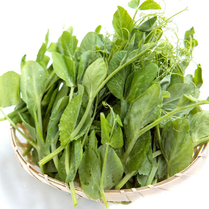 寿禾 豌豆尖种子无须豌豆苗龙须菜家庭种植速生蔬莱春夏秋四季播种疏