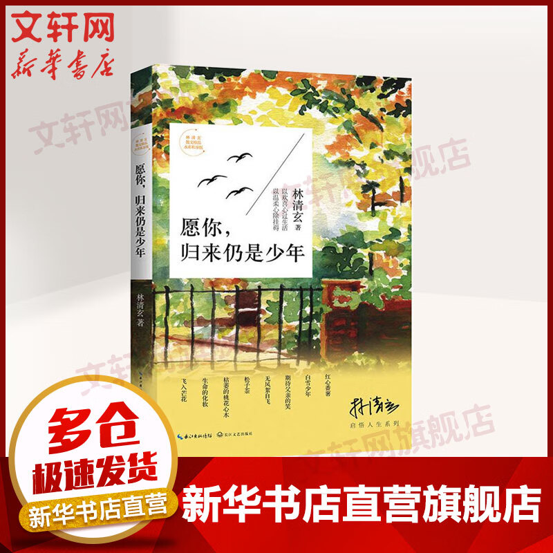 愿你，归来仍是少年 水彩私享版 林清玄启悟人生系列