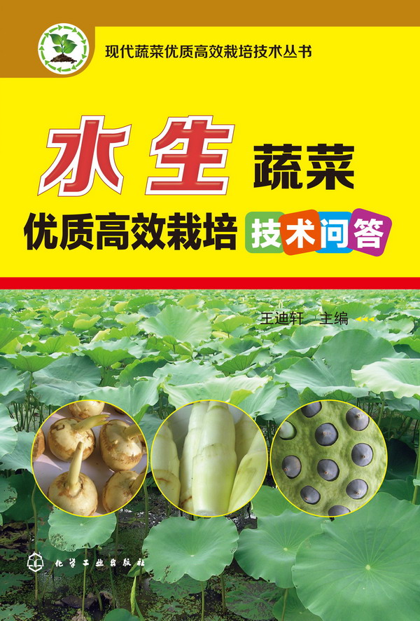 现代蔬菜优质高效栽培技术丛书--水生蔬菜优质高效栽培技术问答 王迪轩 主编