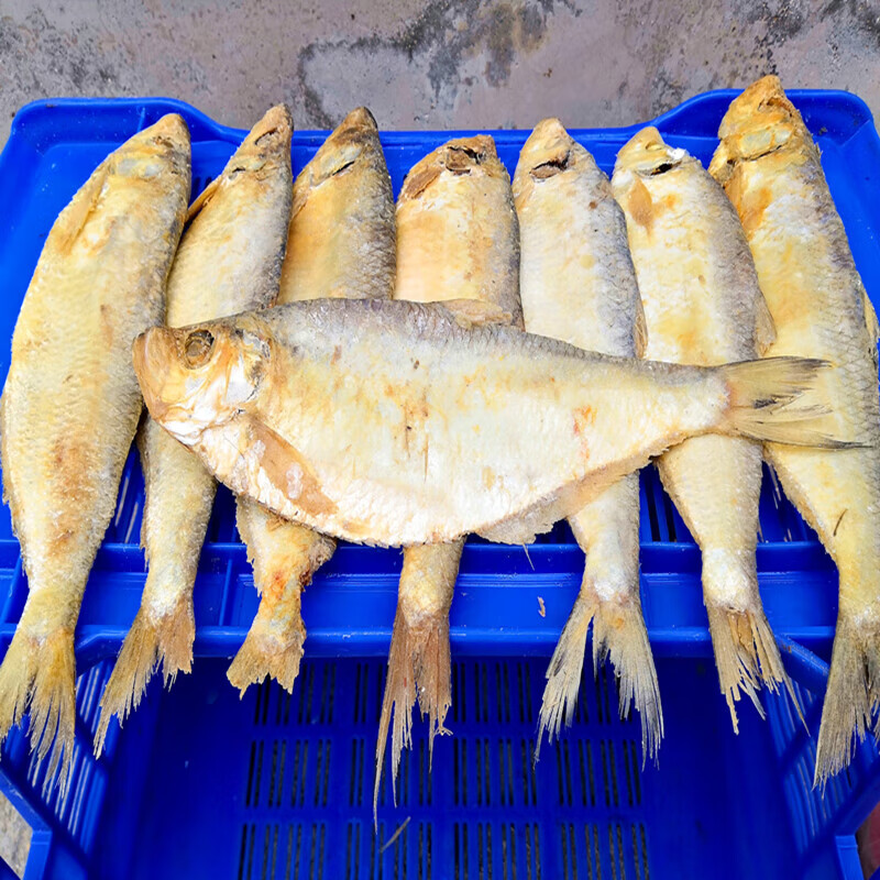 宜享健康味巴哥山东白磷鱼咸鱼腌制水产1斤3-4条特臭香咸鱼干咸海鱼
