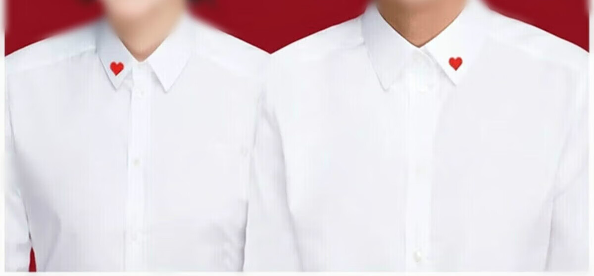 戈森凡(gesenfan)结婚照情侣装结婚登记照情侣装白衬衫长袖证件照创意