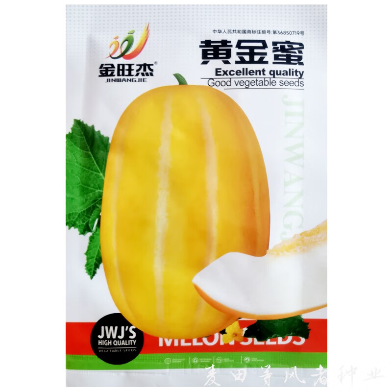 花嫁衣黄金蜜甜瓜种子薄皮黄皮瓜黄金香瓜春夏秋季阳台室外大棚蔬菜