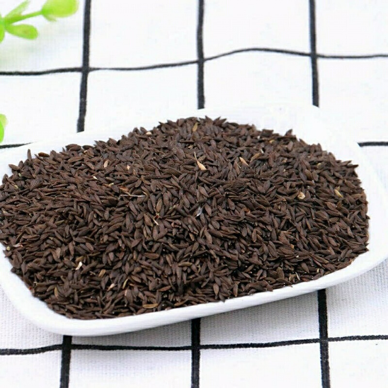 寒宁贡菜特产贡菜苔干菜地方蔬菜干菜类 分装1包【500粒】 贡菜种子