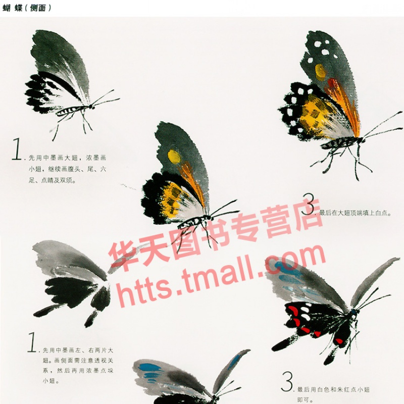 草虫 写意画三步法 新版 书画入门系列 中国画写意草虫蝴蝶蝉蟋蟀蜻蜓