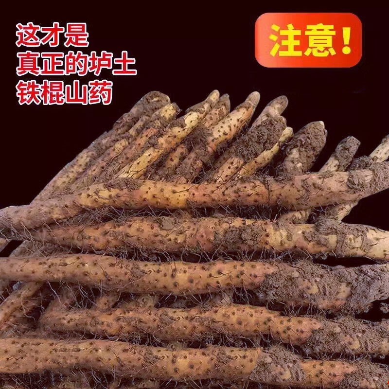 [现挖现卖]正宗温县垆土铁棍山药怀山药新鲜出土营养特产年货礼盒 果王礼盒净重6.5斤 65cm 土黄色