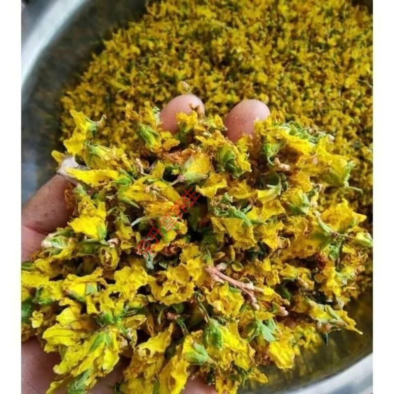 太行山连翘花茶连翘叶茶野生连翘花茶干连翘花清凉菊花茶 连翘花茶1瓶