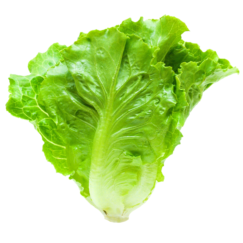 ���� �ٴ�1�� ��������������������� Լ5000�� 4.8Ԫ