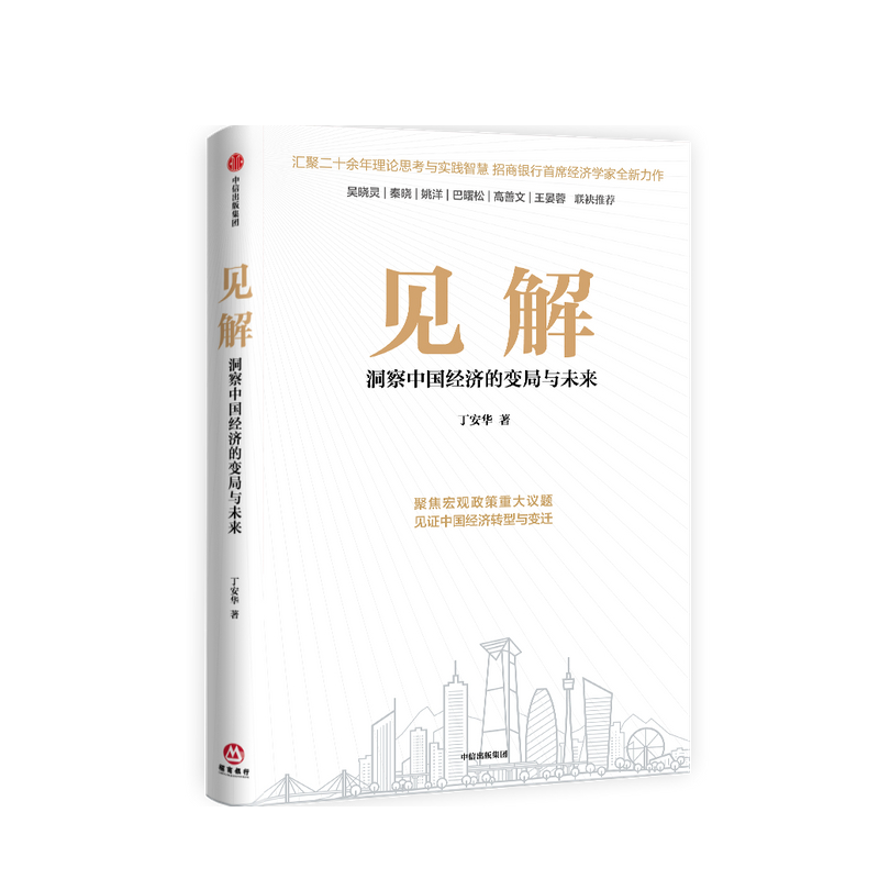 包邮 见解丁安华 著