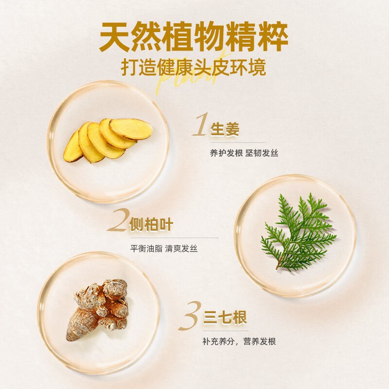 养元青洗发水生姜洗发水无硅油防断发健发蓬松男女洗发露 洗发水500ml