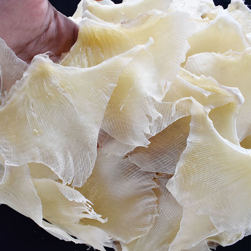 浦鱼鳍鳐鱼软骨鱼海狗海产滋补煲汤海鲜鲜活鳐鱼鳍鲜活去皮鳐鱼翅老板