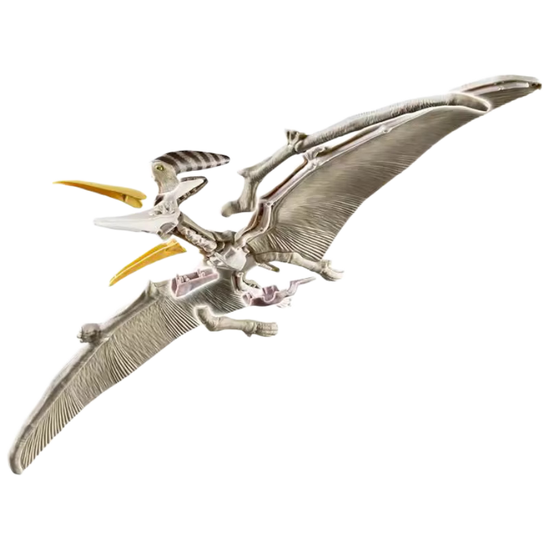 万代（BANDAI）恐龙拼装模型 无齿翼龙
