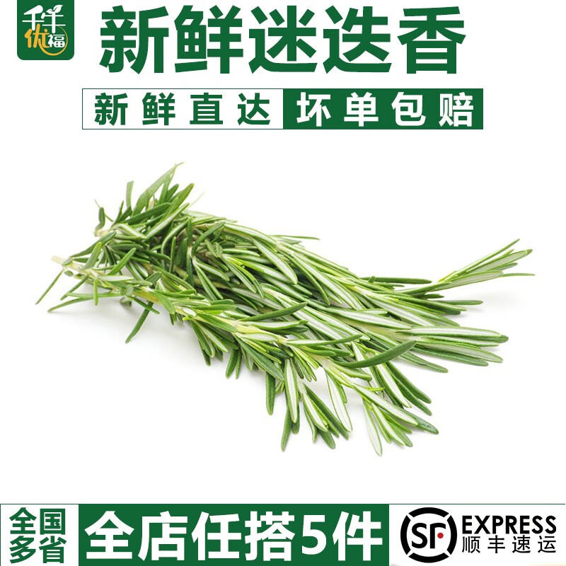 千牛优福新鲜迷迭香50g-100g 西餐煎牛排用香料食用香草百里香调料