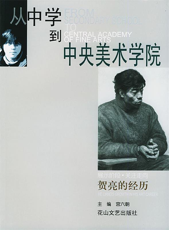从中学到中央美术学院－贺亮的经历 宫六朝【正版图书】