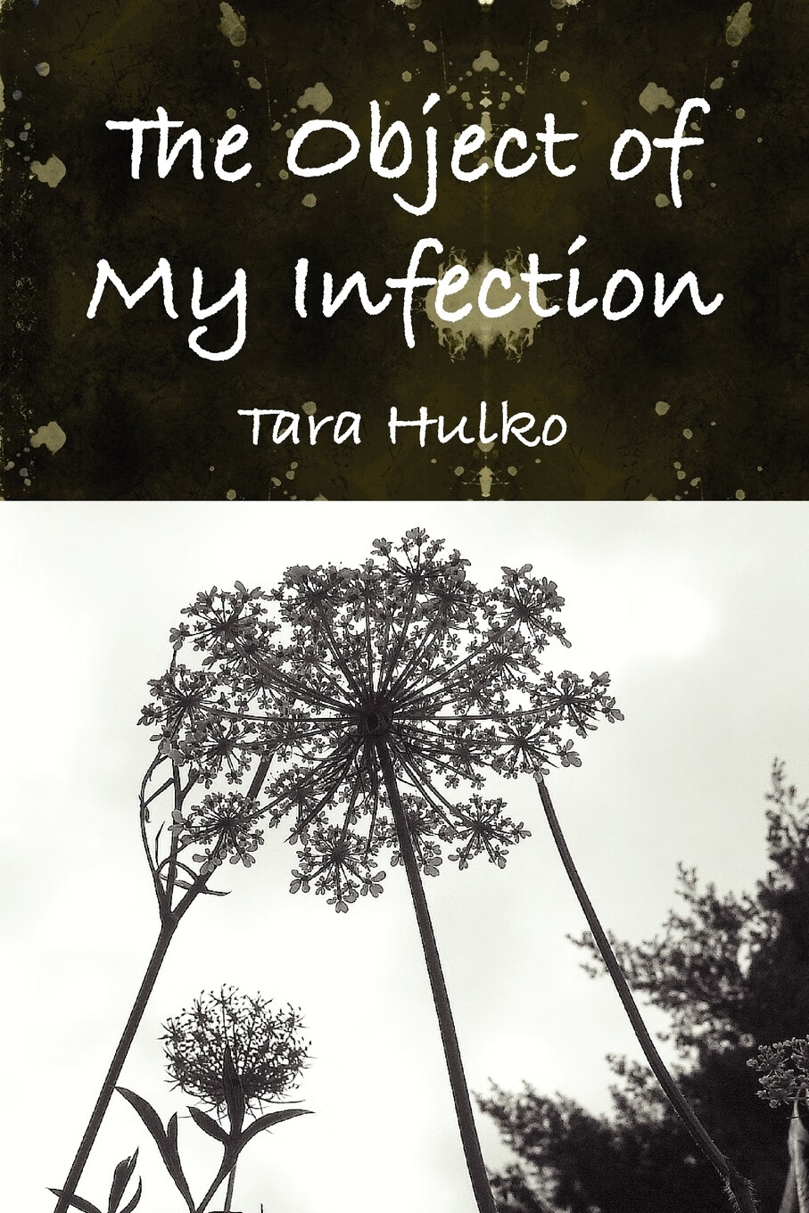 【预售 按需印刷】the object of my infection