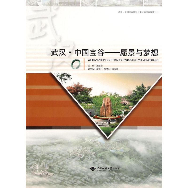 武汉中国宝谷--愿景与梦想 王焰新 书籍